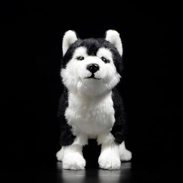 Realistic Bi-eyed Husky Dog Stuffed Animal Plush Toy, Lifelike Plushies